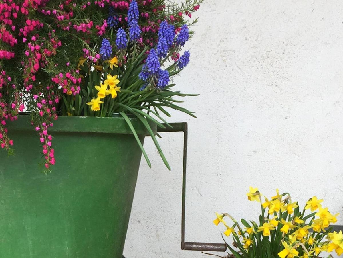 Ferien- Und Winzerhof Simon Appartement Freiburg im Breisgau Buitenkant foto